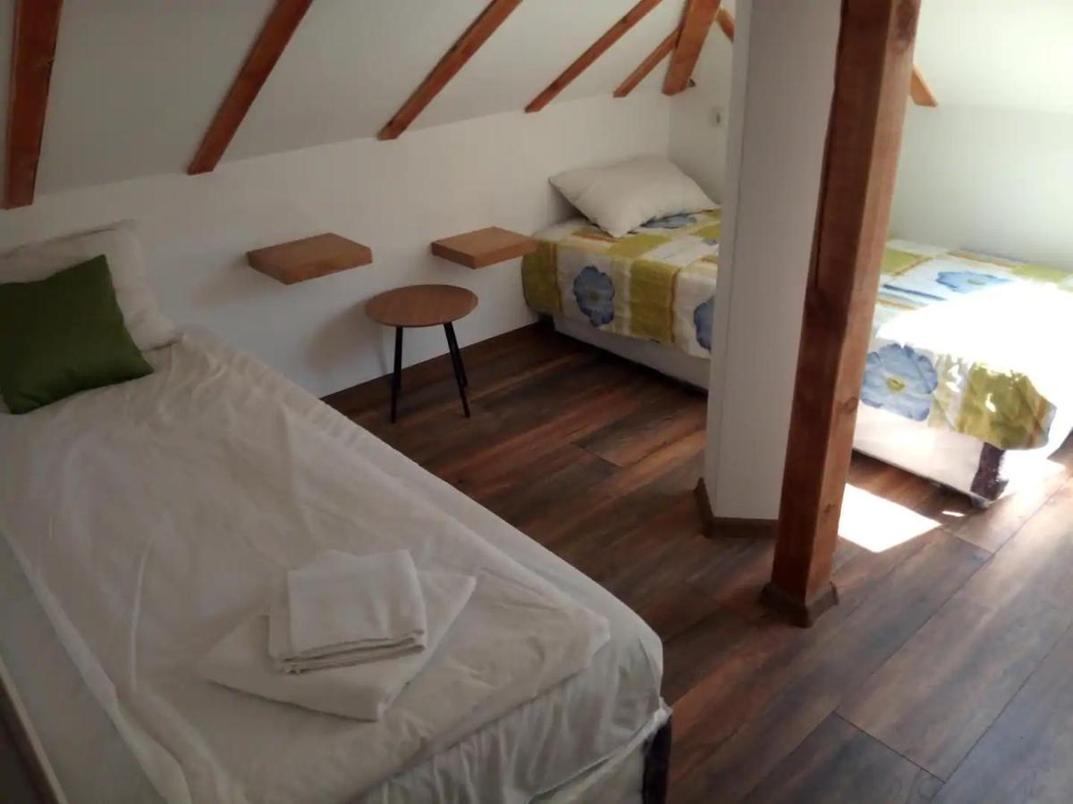 Entire Central House With Guest Rooms & Garden София Экстерьер фото